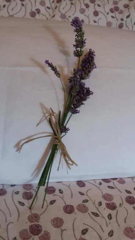 Ca' Rossi Apartment Beverino